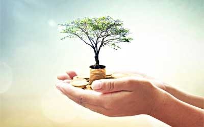 2 outstretched hands holding miniature tree in a pot and gold coins