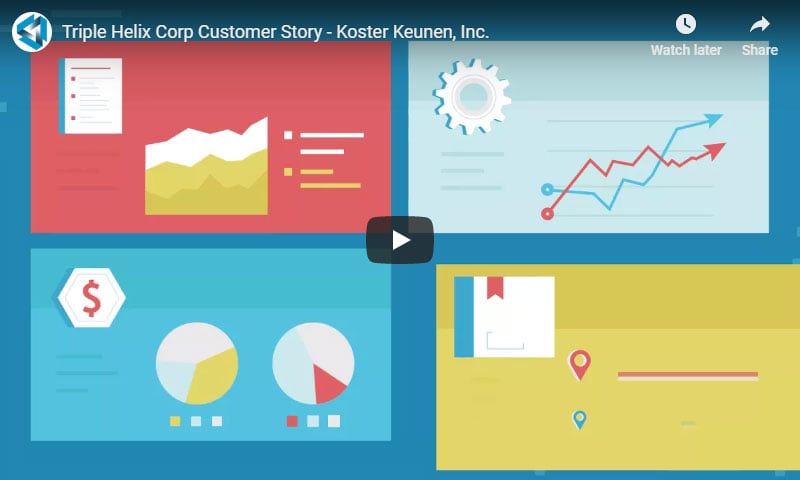 Koster Keunen: Real-Time Access to Sales and Inventory Data