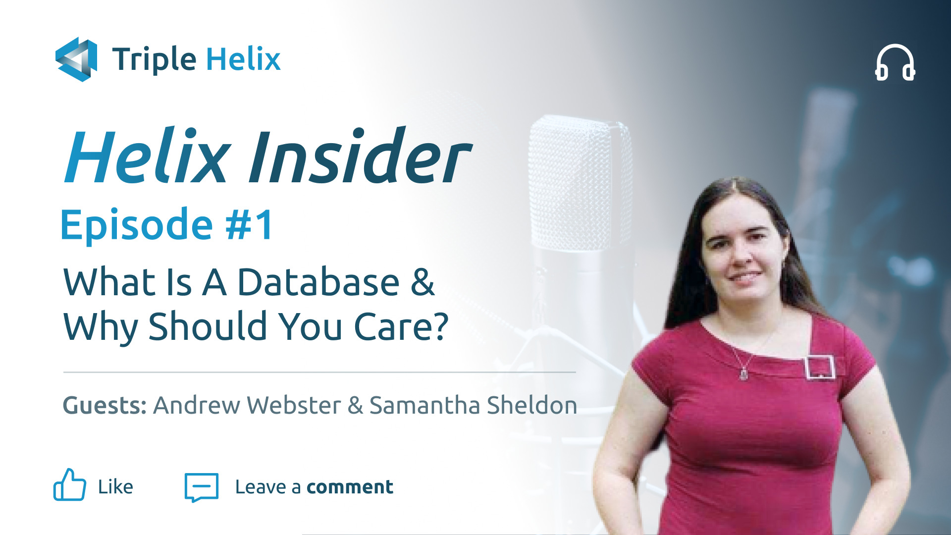 What Is A Database & Why Should You Care? Triple Helix Corporation