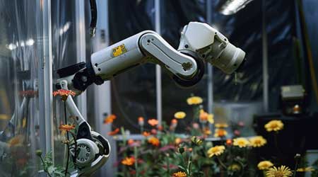 The Rise of Robotic Bees: Revolutionizing Agriculture with AI-Powered Pollinators
